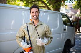 Best Termite Inspection and Treatment  in Bridgeport, OH